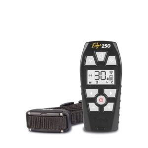 Dogtrace EDGE ONE 250
